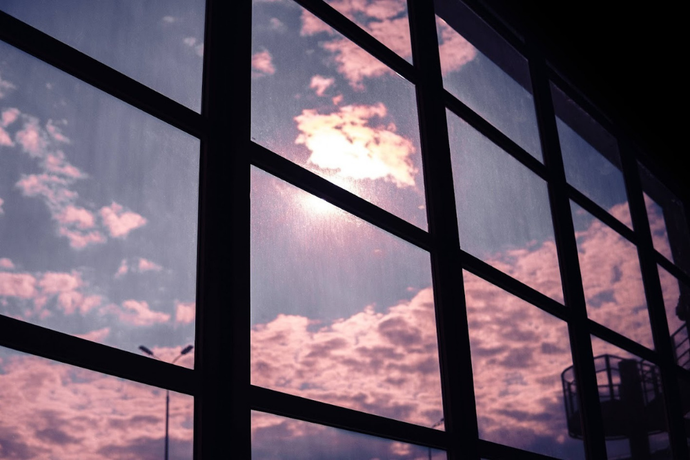 Commercial Privacy Window Tint